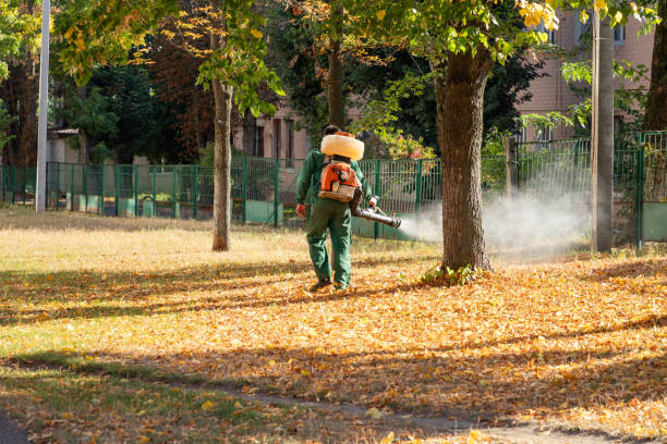 Best Bird Control  in Lansing, MI